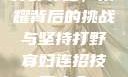 打野寡妇，荣耀背后的挑战与坚持打野寡妇连招技巧大全