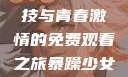 暴躁少女CSGO，热血竞技与青春激情的免费观看之旅暴躁少女csgo免费观看中文版