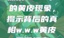 探索w.w.w下的黄皮现象，揭示背后的真相w.w.w黄皮磨菇招商