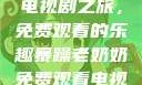 暴躁老奶奶的电视剧之旅，免费观看的乐趣暴躁老奶奶免费观看电视剧完整版