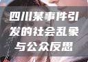 四川某事件引发的社会乱象与公众反思
