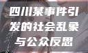四川某事件引发的社会乱象与公众反思