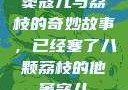 窦寇儿与荔枝的奇妙故事，已经塞了八颗荔枝的他窦寇儿