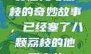 窦寇儿与荔枝的奇妙故事，已经塞了八颗荔枝的他窦寇儿