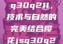 探索樱花jsq30q211，技术与自然的完美结合樱花jsq30q211官网
