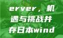 日本市场中的Window Server，机遇与挑战并存日本windowsserver服务器