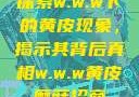 探索w.w.w下的黄皮现象，揭示其背后真相w.w.w黄皮磨菇招商