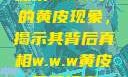 探索w.w.w下的黄皮现象，揭示其背后真相w.w.w黄皮磨菇招商