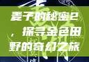 麦子的秘密2，探寻金色田野的奇幻之旅