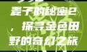 麦子的秘密2，探寻金色田野的奇幻之旅
