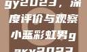 宏翔小蓝视频gy2023，深度评价与观察小蓝彩虹男gary2023的音乐作品