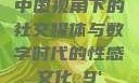 中国视角下的社交媒体与数字时代的性感文化с9'