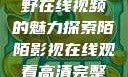 欧美乱妇，狂野在线视频的魅力探索陌陌影视在线观看高清完整版