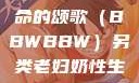 另类视角下的老妇奶性与生命的颂歌（BBWBBW）另类老妇奶性生BBwBBw肥婆BBX