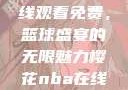 樱花NBA在线观看免费，篮球盛宴的无限魅力樱花nba在线观看免费视频