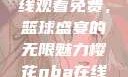 樱花NBA在线观看免费，篮球盛宴的无限魅力樱花nba在线观看免费视频