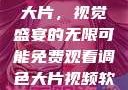 免费观看调色大片，视觉盛宴的无限可能免费观看调色大片视频软件