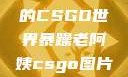暴躁老阿姨的CSGO世界暴躁老阿姨csgo图片高清在线观看