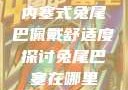 内塞式兔尾巴佩戴舒适度探讨兔尾巴塞在哪里