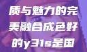 探索成色卓越的Y31，品质与魅力的完美融合成色好的y31s是国产a1a2a3a4a5