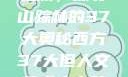 西方人文艺术之旅，探寻山踪林的37大奥秘西方37大但人文艺术人山踪林篱笆墙外