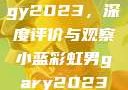 宏翔小蓝视频gy2023，深度评价与观察小蓝彩虹男gary2023的音乐作品