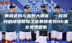 暴躁老妈与荒野大镖客，一段别样的情感冒险之旅暴躁老妈46集全免费观看