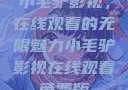 小毛驴影视，在线观看的无限魅力小毛驴影视在线观看免费版