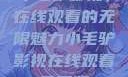 小毛驴影视，在线观看的无限魅力小毛驴影视在线观看免费版