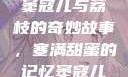 窦寇儿与荔枝的奇妙故事，塞满甜蜜的记忆窦寇儿