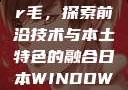日本Windows Server毛，探索前沿技术与本土特色的融合日本WINDOWSSERVER毛