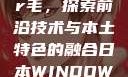 日本Windows Server毛，探索前沿技术与本土特色的融合日本WINDOWSSERVER毛