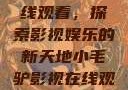 小毛驴影视在线观看，探索影视娱乐的新天地小毛驴影视在线观看6996集