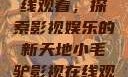 小毛驴影视在线观看，探索影视娱乐的新天地小毛驴影视在线观看6996集