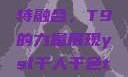 ysl千人千色与MBA的独特融合，T9的力量展现ysl千人千色t9t9t9t9t9mbafree