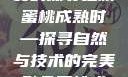 蜜桃成熟时，一场视觉盛宴的探寻之旅
蜜桃成熟时—探寻自然与技术的完美融合蜜桃成熟时5d澎湃新闻