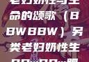 另类视角下的老妇奶性与生命的颂歌（BBWBBW）另类老妇奶性生BBwBBw肥婆BBX