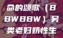 另类视角下的老妇奶性与生命的颂歌（BBWBBW）另类老妇奶性生BBwBBw肥婆BBX