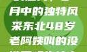 东北老阿姨的魅力，岁月中的独特风采东北48岁老阿姨叫的没谁了吗为什么还要叫她呢