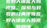 荒野大镖客大妈视频，探索与致敬的经典传奇荒野大镖客大妈视频剧情