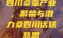 四川桑蚕产业，繁荣与潜力桑四川话啥意思