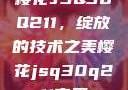 樱花JSQ30Q211，绽放的技术之美樱花jsq30q211官网