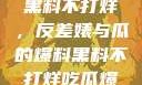 揭秘娱乐圈，黑料不打烊，反差婊与瓜的爆料黑料不打烊吃瓜爆料反差婊下载