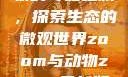Zoom与动物的奇妙之旅，探索生态的微观世界zoom与动物zoom最新版本