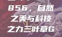 三叶草GW5856，自然之美与科技之力三叶草GW5856