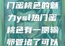 探究YSL热门蜜桃色的魅力ysl热门蜜桃色有一侧输卵管堵了可以怀孕吗