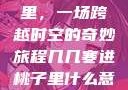 几几寒进桃子里，一场跨越时空的奇妙旅程几几寒进桃子里什么意思