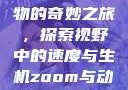 Zoom与动物的奇妙之旅，探索视野中的速度与生机zoom与动物zoom大全