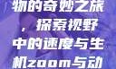 Zoom与动物的奇妙之旅，探索视野中的速度与生机zoom与动物zoom大全