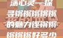 铿锵韵律，激荡心灵—探寻锵锵锵锵锵的魅力铿锵锵锵锵锵好多少破解
